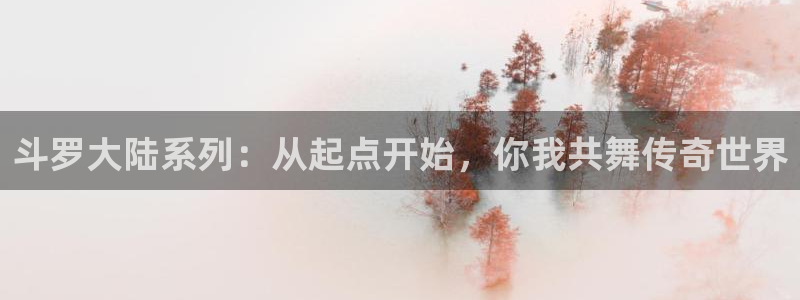哔咔漫画无法注册：斗罗大陆系列：从起点开始，你我共舞传奇世界