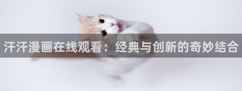 picacg哔咔漫画破解版：汗汗漫画在线观看：经典与创新的奇妙结合